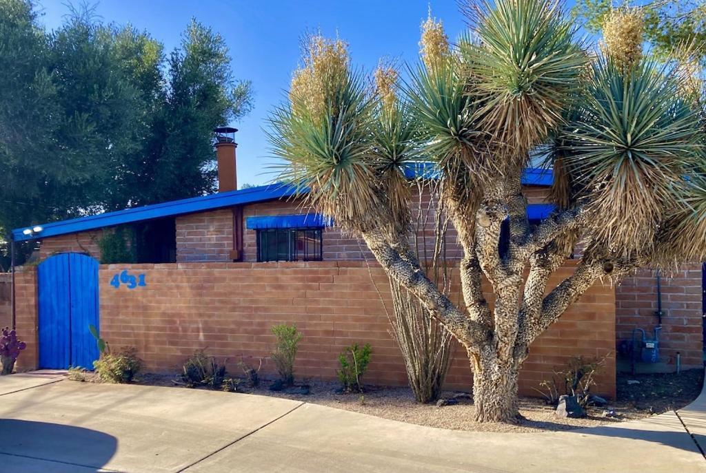 Casa Azul - Cute Centrally Located Adobe With Large Fenced Outdoor Living For Pets And Adults, Non-Smoking 土桑 外观 照片